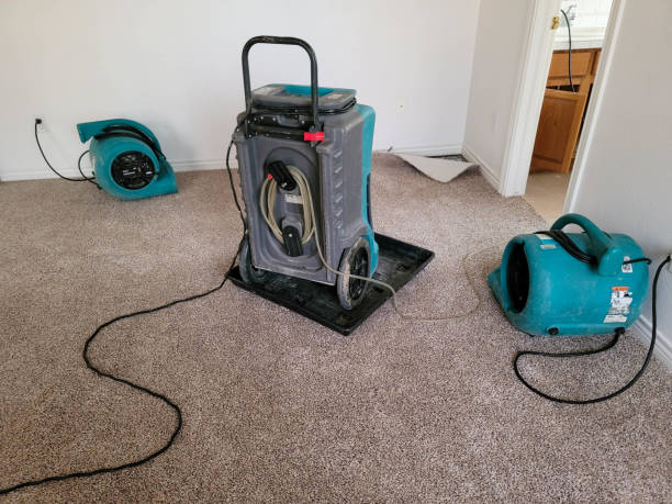 Best Flood restoration services  in Stone Mountain, GA