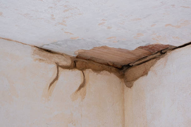 Best Mold removal after water damage  in Stone Mountain, GA