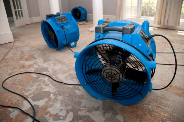 Best Local water damage restoration  in Stone Mountain, GA