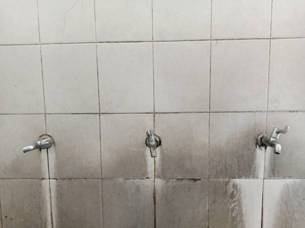 Best Ceiling water damage repair  in Stone Mountain, GA