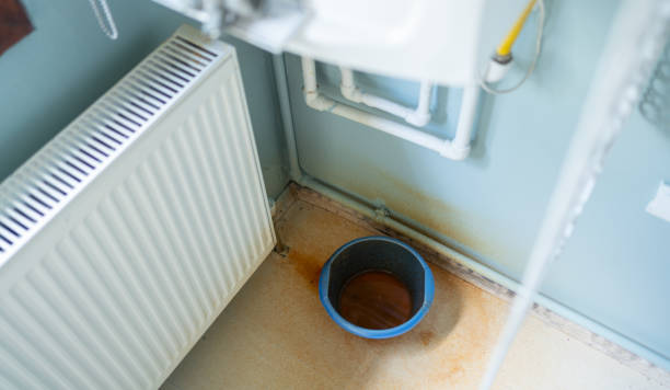 Best Professional water damage repair  in Stone Mountain, GA
