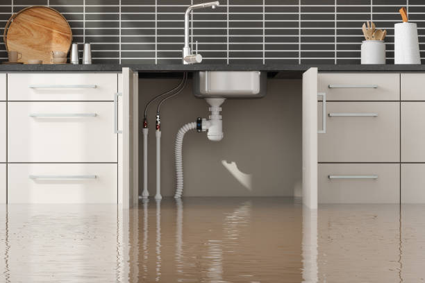 Best Residential water damage restoration  in Stone Mountain, GA